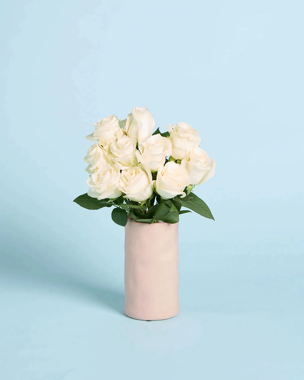 White Roses + Vase