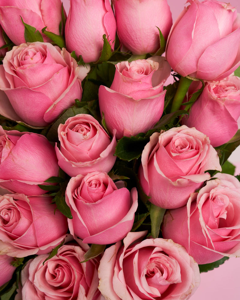 20 Pink Roses