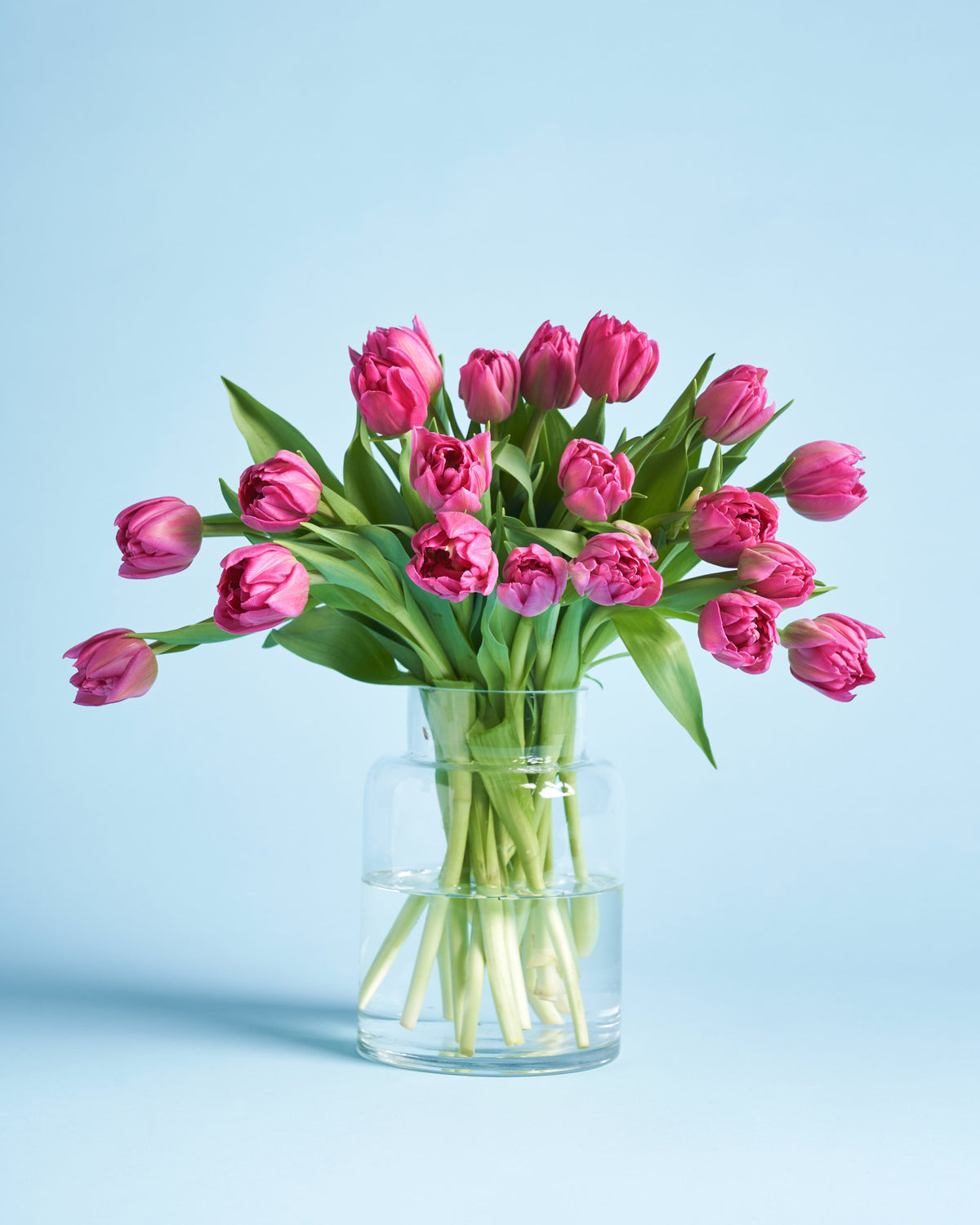 Tulips Vase