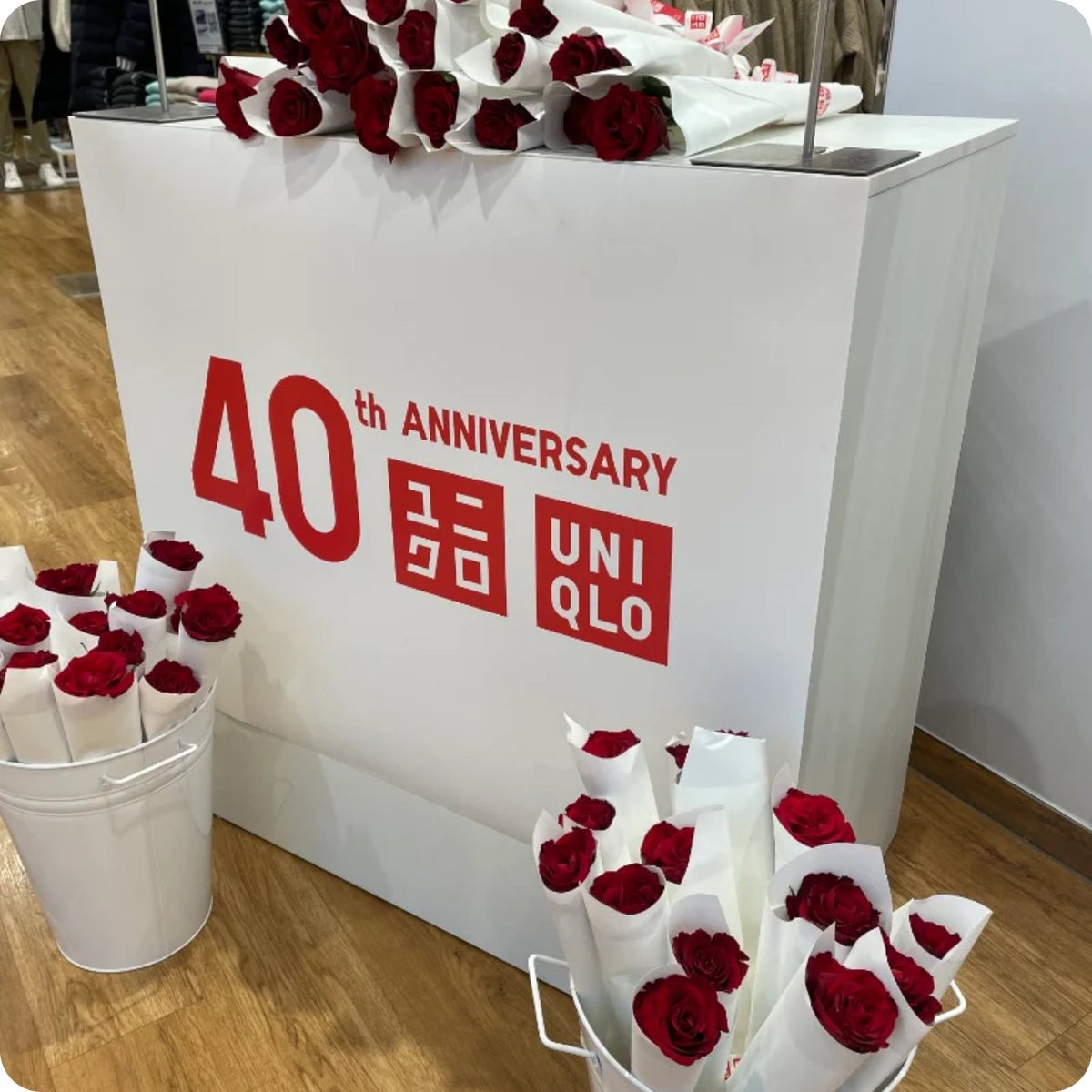 Red single-stem roses for UNIQLO's 40th anniversary